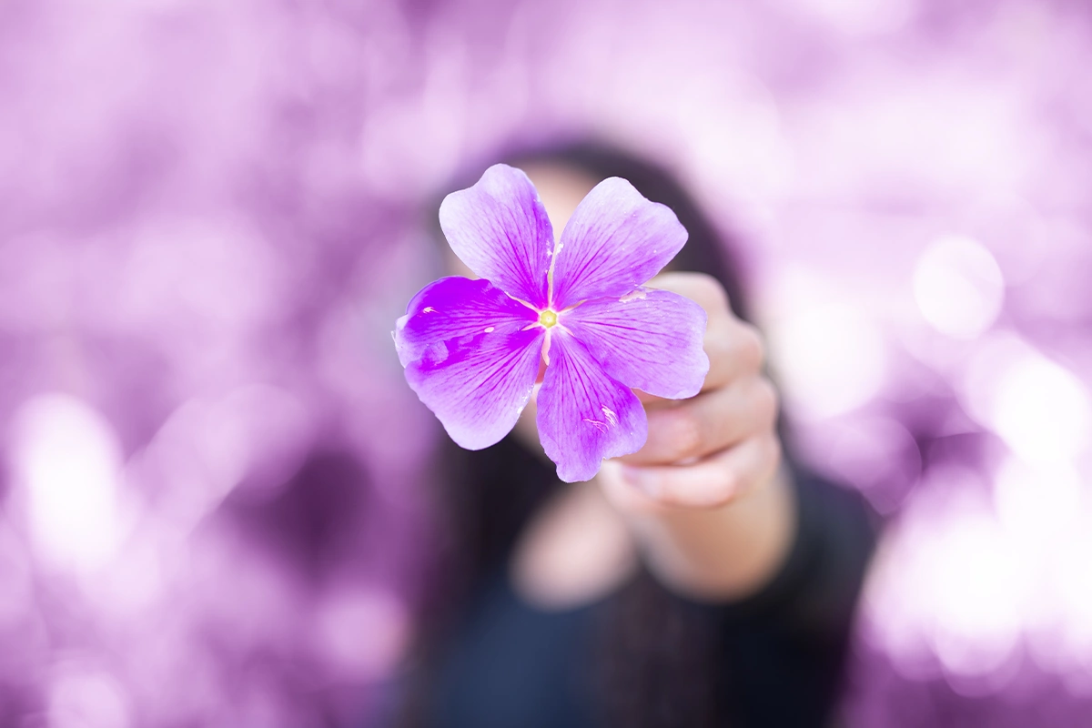 nevşah enstitü Mindfulness temelli psikolojik danışmanlık